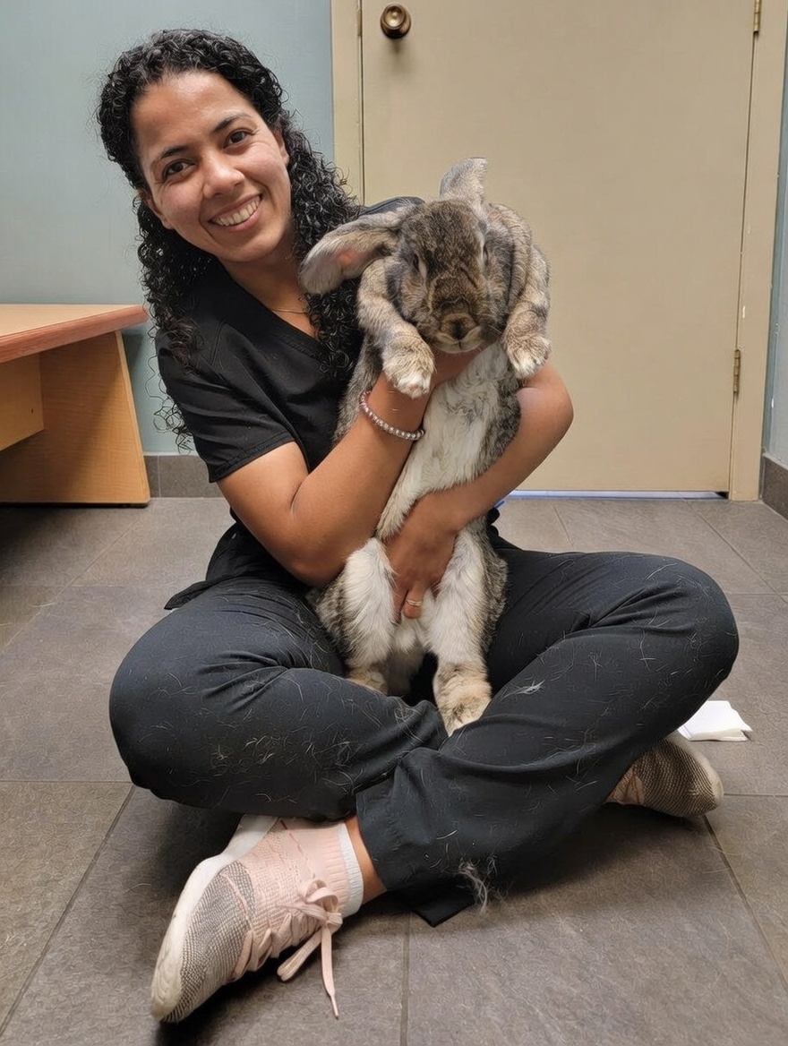 Mentoria Veterinária 09