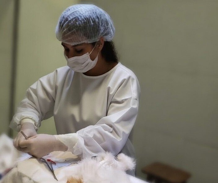 Mentoria Veterinária 18