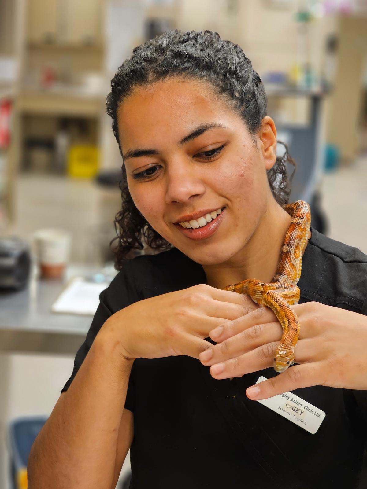 Mentoria Veterinária 21